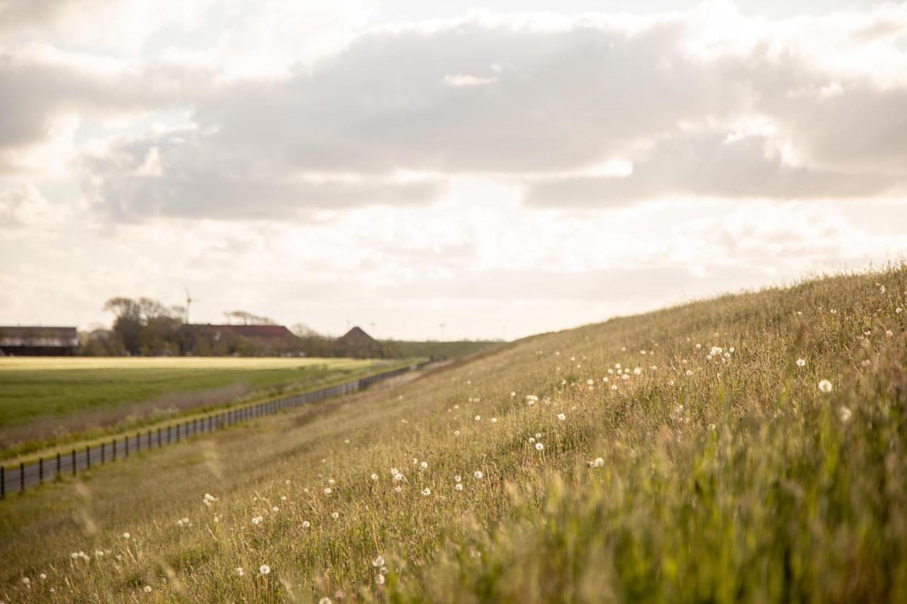 ドルヌムGulfhof Polder72 Polder72 5 Egerアパートメント エクステリア 写真